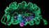 Velvet Dice Bags Dragon Storm Green